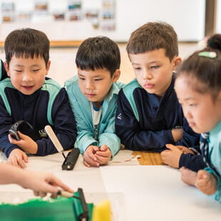 东北大连国际双语学校 | AP 学费 | 关于我们 - Feature Cards