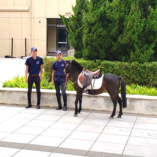 Parent Essentials | Dalian Huamei School - 03 Feature Cards