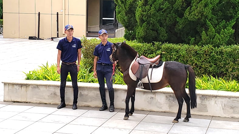 Parent Essentials | Dalian Huamei School - 03 Feature Cards