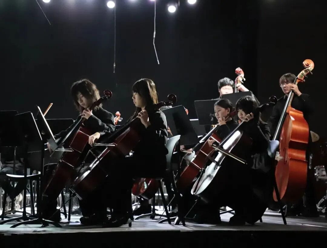 Instrumental Concert