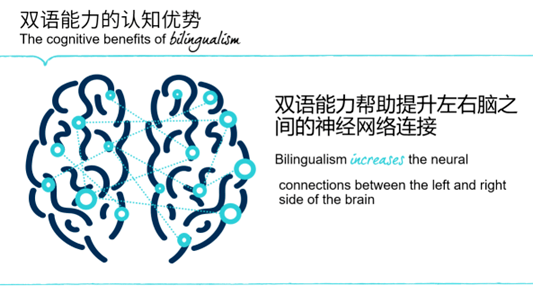 Benefits of Being Bilingual